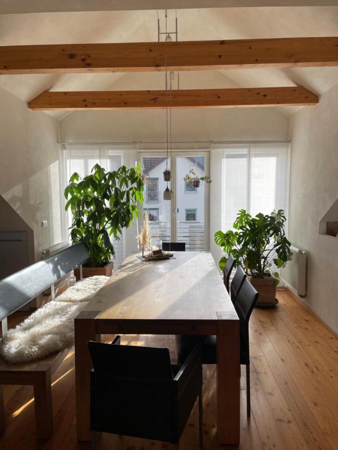 Ferienwohnung Nussbaum-Nest เฮาเซน ภายนอก รูปภาพ